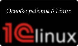 Основы работы в Linux